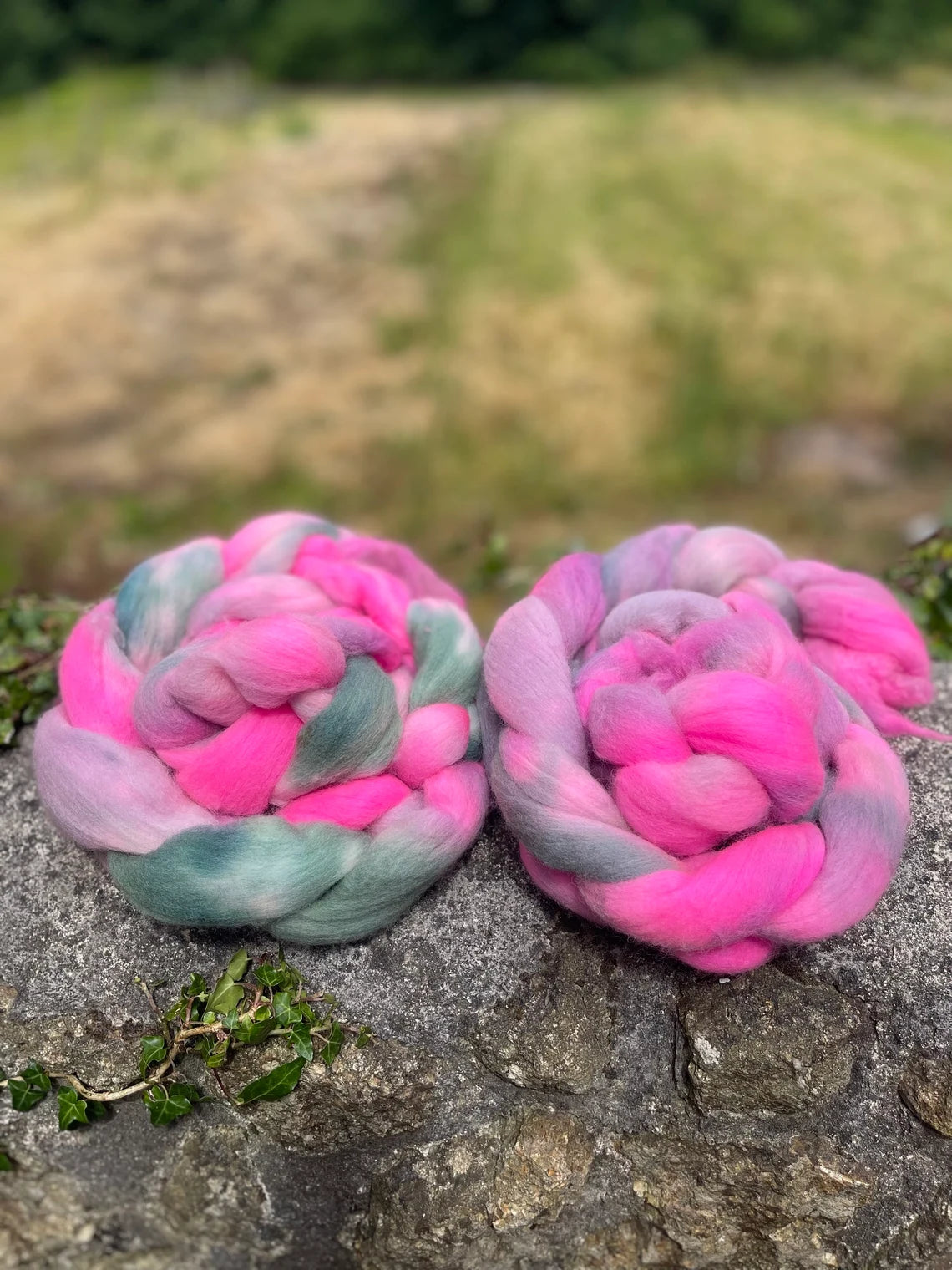 Red Campion, Merino Hand Dyed Spinning Fibre, 100g