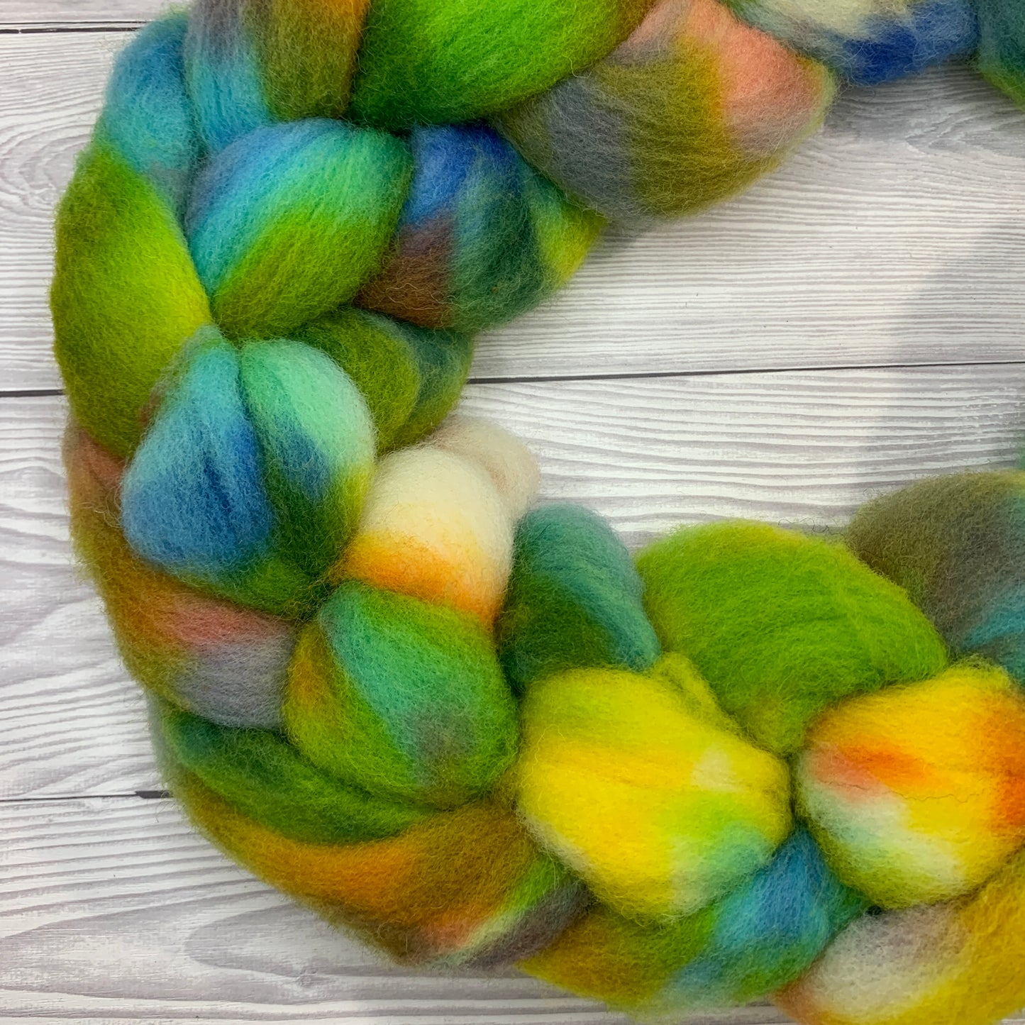 Dorset Horn Hand Dyed Wool Tops Spinning Fibre 100g