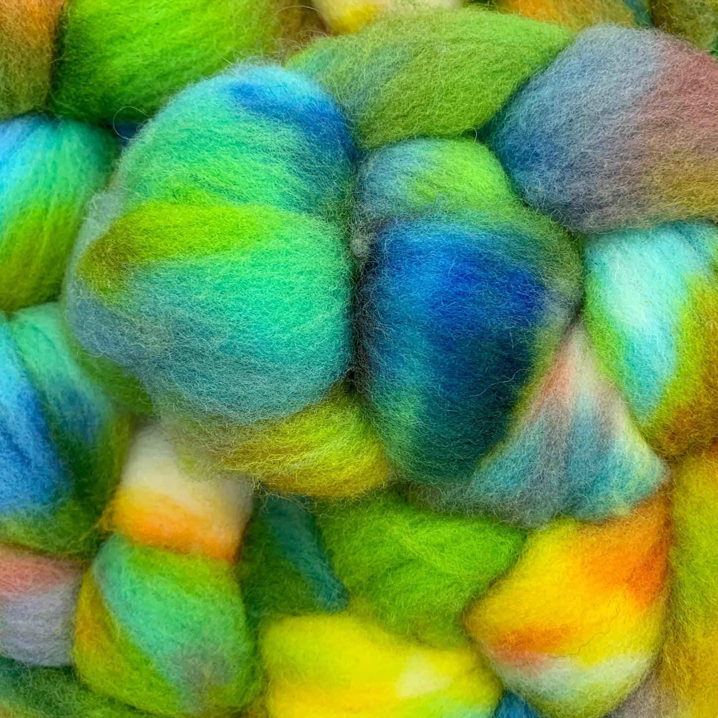 Dorset Horn Hand Dyed Wool Tops Spinning Fibre 100g